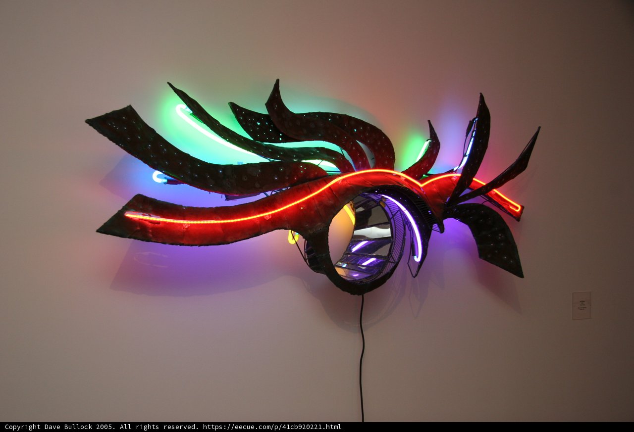 Illuminating Insects