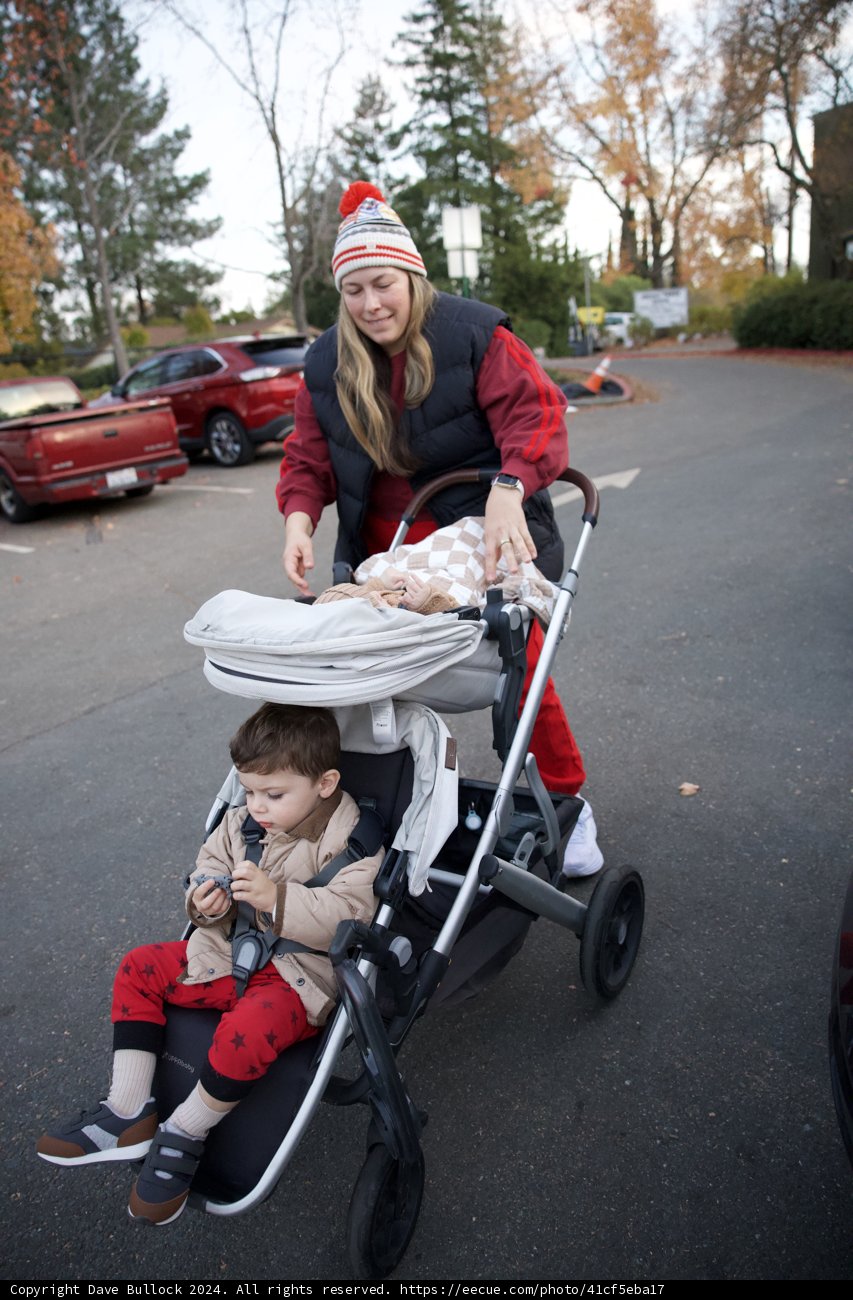 Stroll Through Walnut Creek