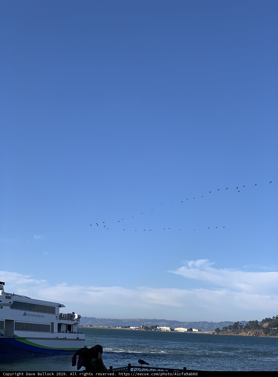 Flying High at the Ferry Building Terminal