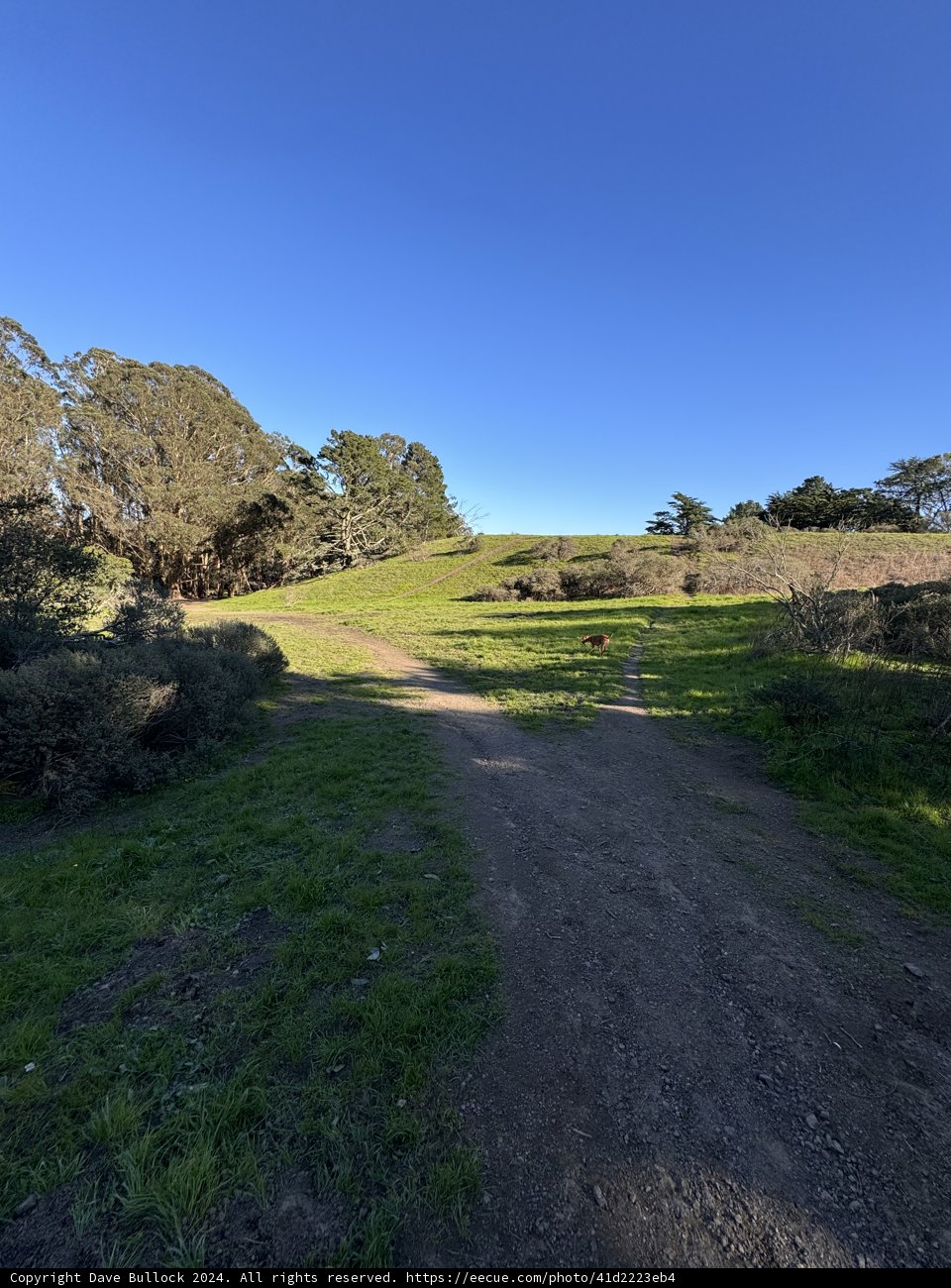 Exploring the Trails of McLaren Park