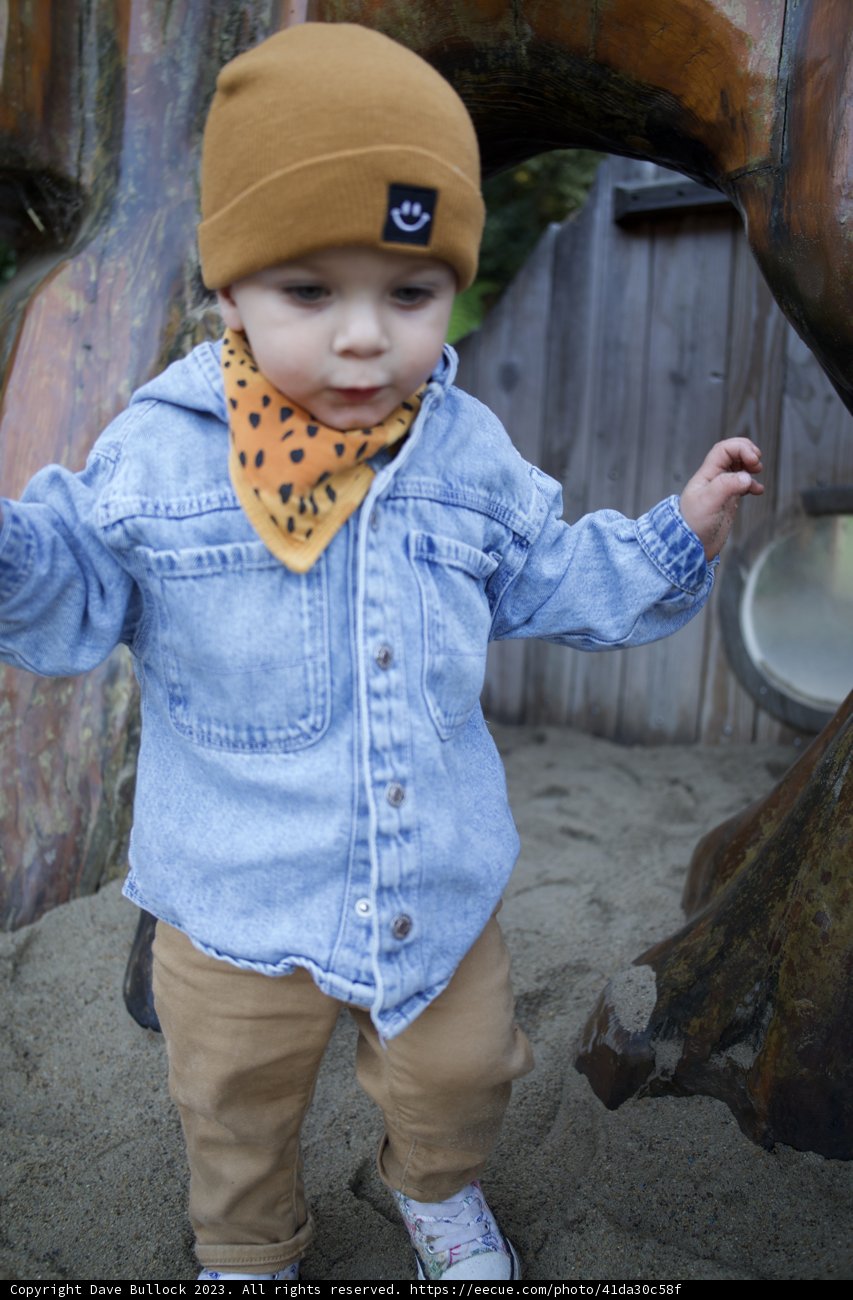 Adorable Autumn Moments at SF Zoo