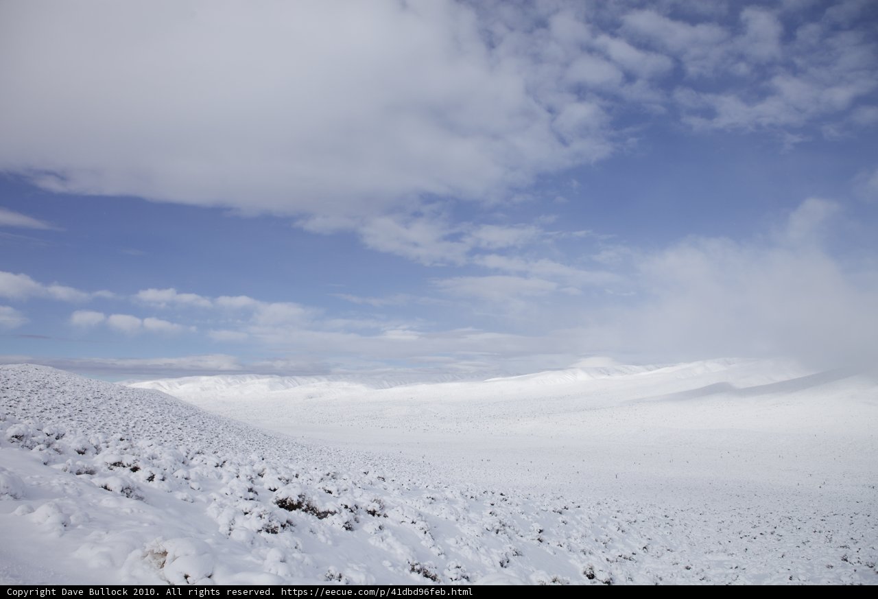 Winter Wonderland
