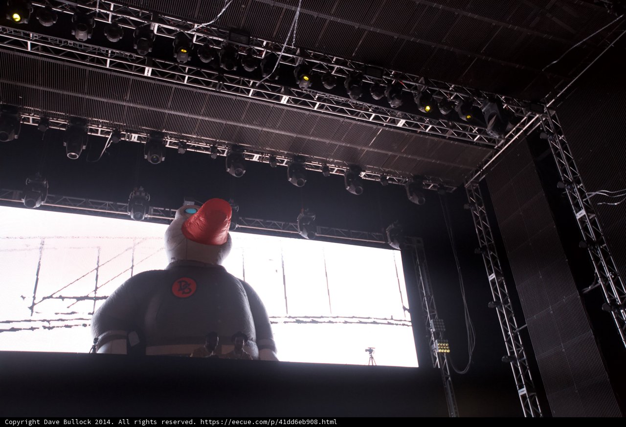 The Grand Stage with a Majestic Bird