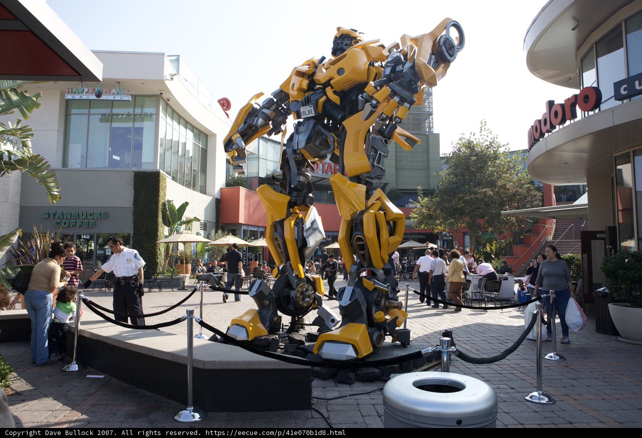 Robotic Guardian
