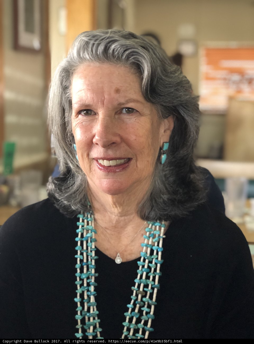 The Lady with the Gray Hair and Bead Necklace