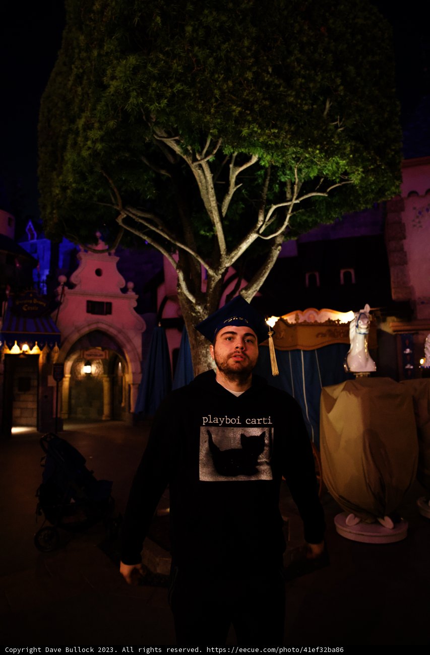 A Serene Evening in the Park