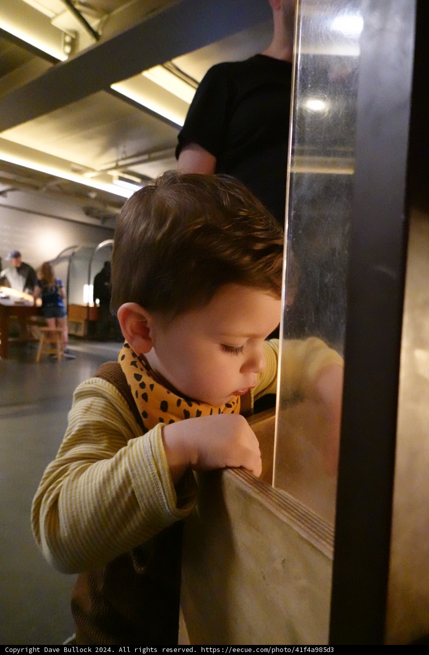 Curious Moments