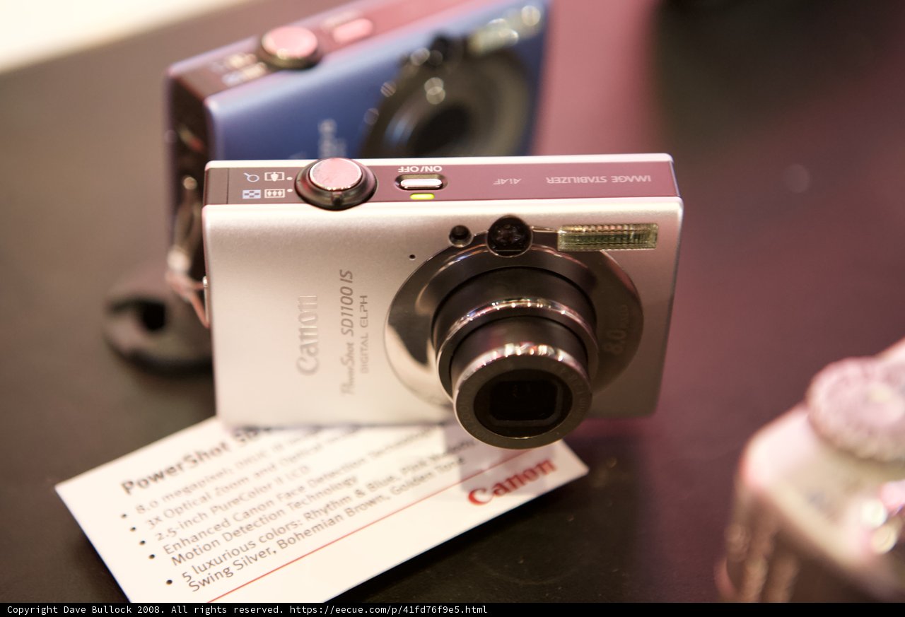 Canon Powershot SX20 - Capturing Memories