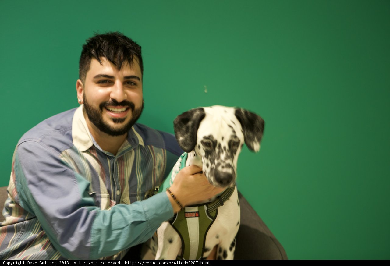 Man's Best Friend
