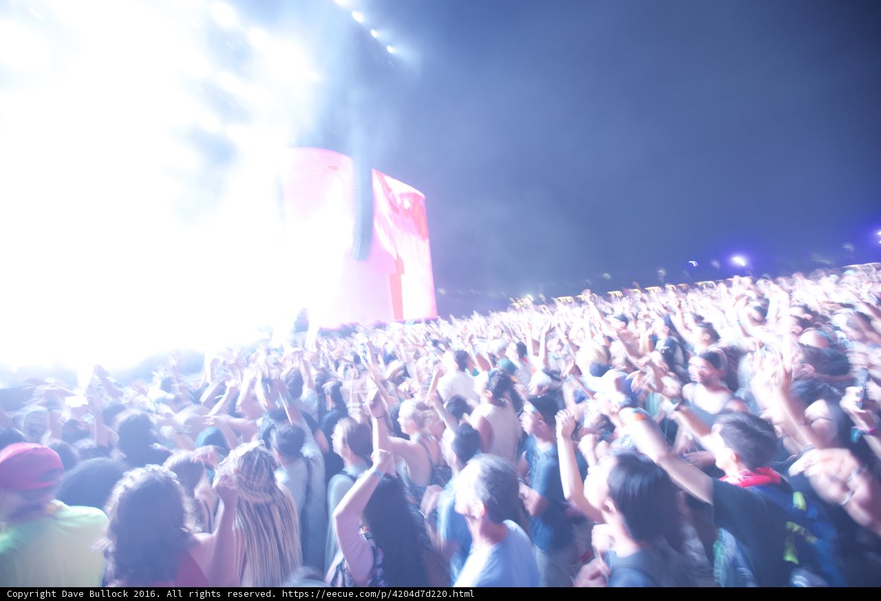 Lively Crowd at Coachella Concert