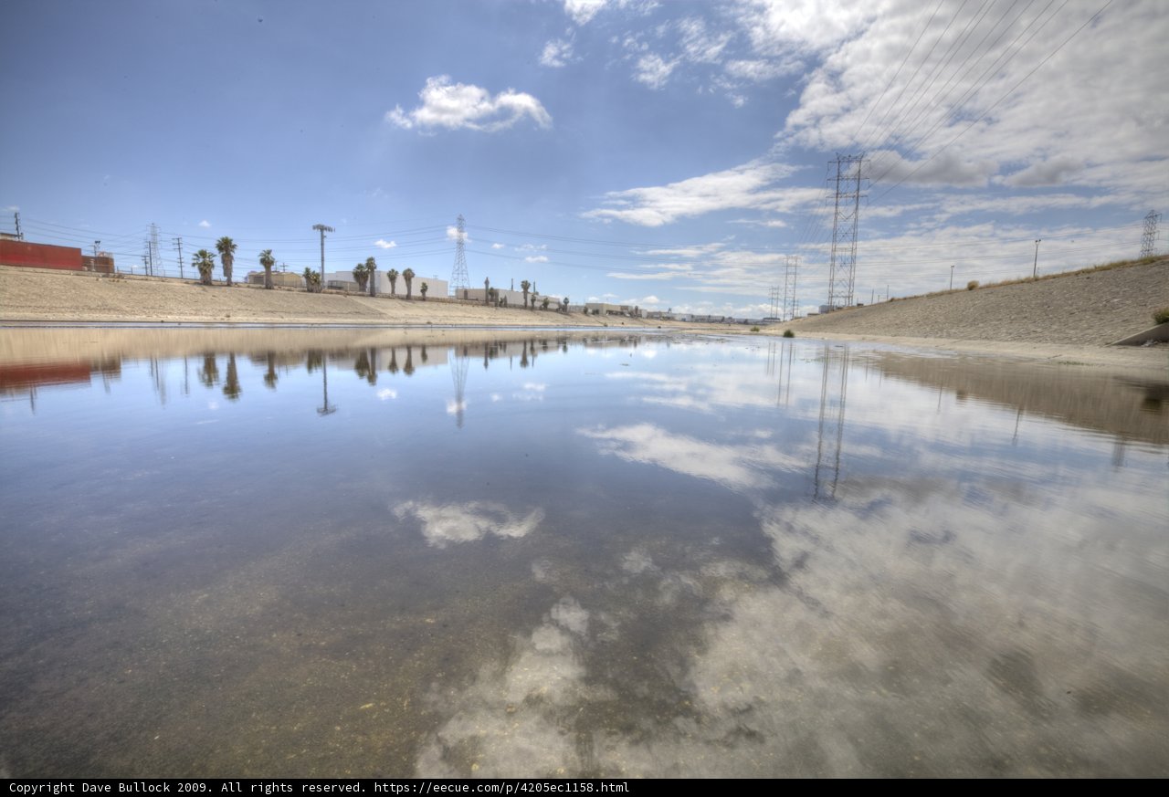Desert Oasis
