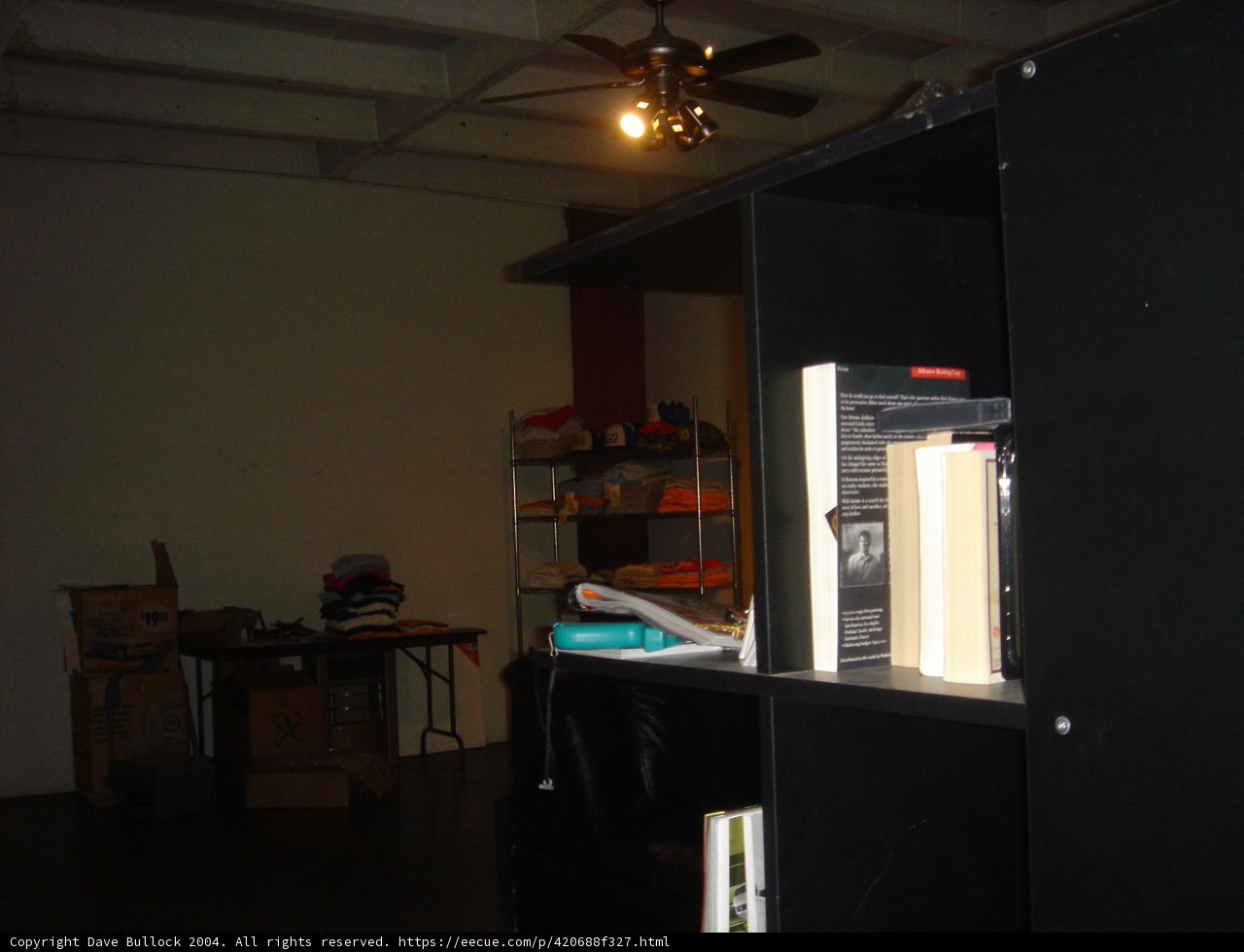 Sleek and Stylish Black Bookcase