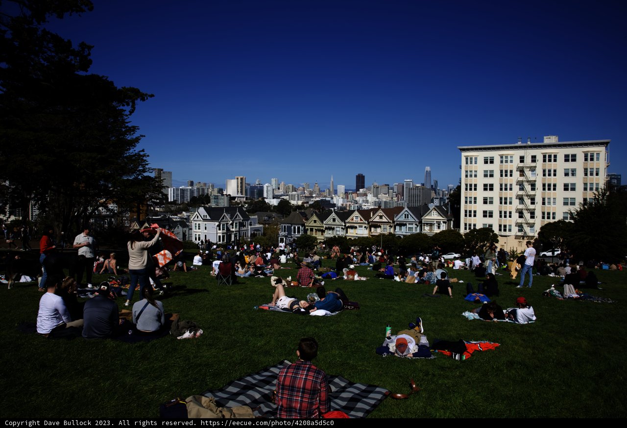A Sunny Day at Alamo Square