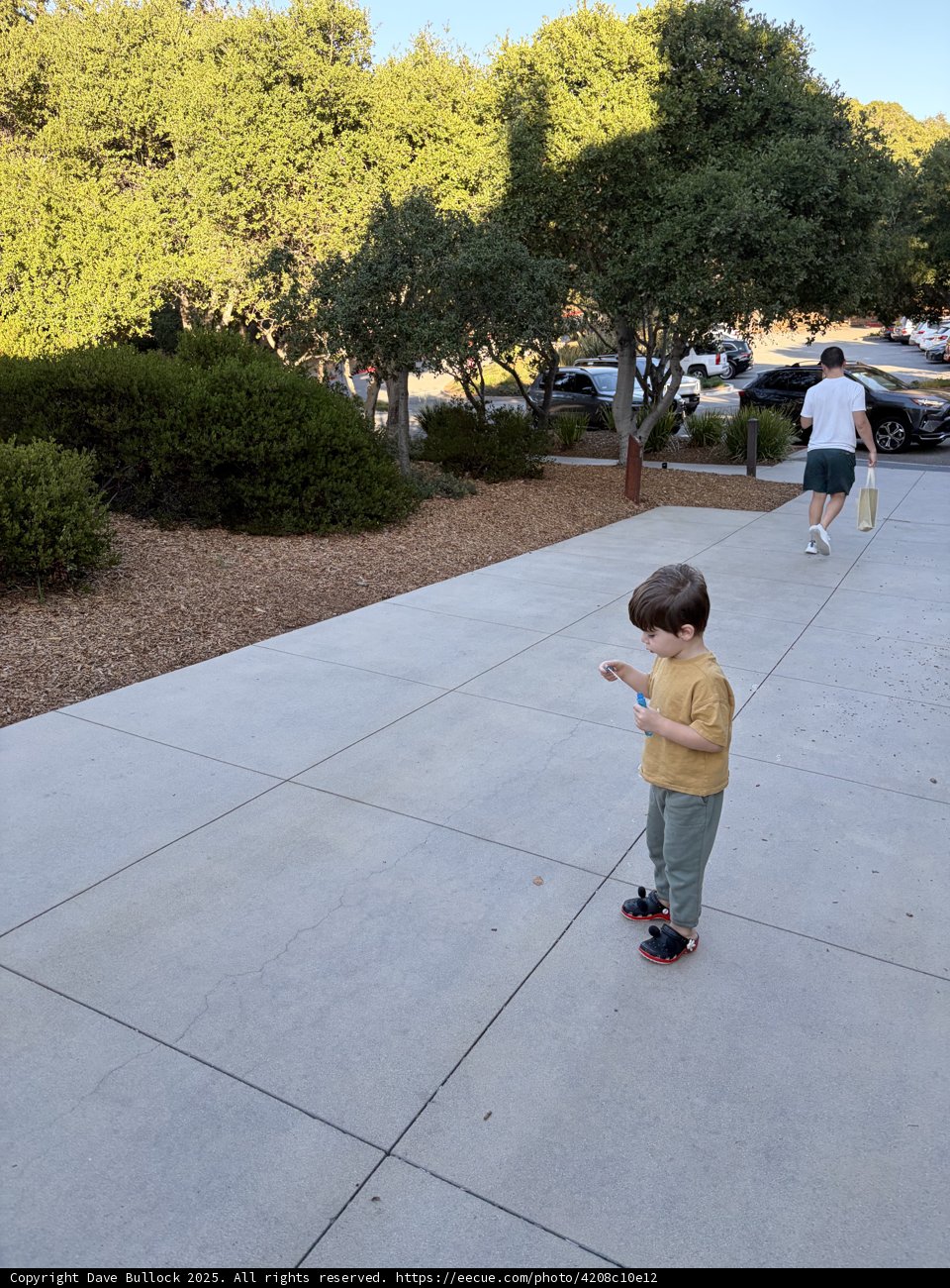 Stroll Through the Park