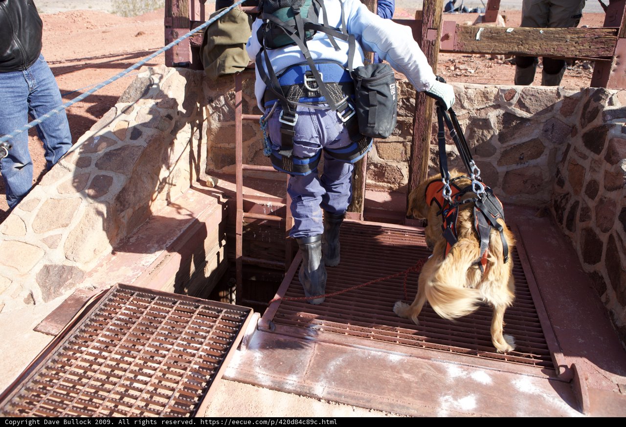Mine Rescue Team with Canine Assistant