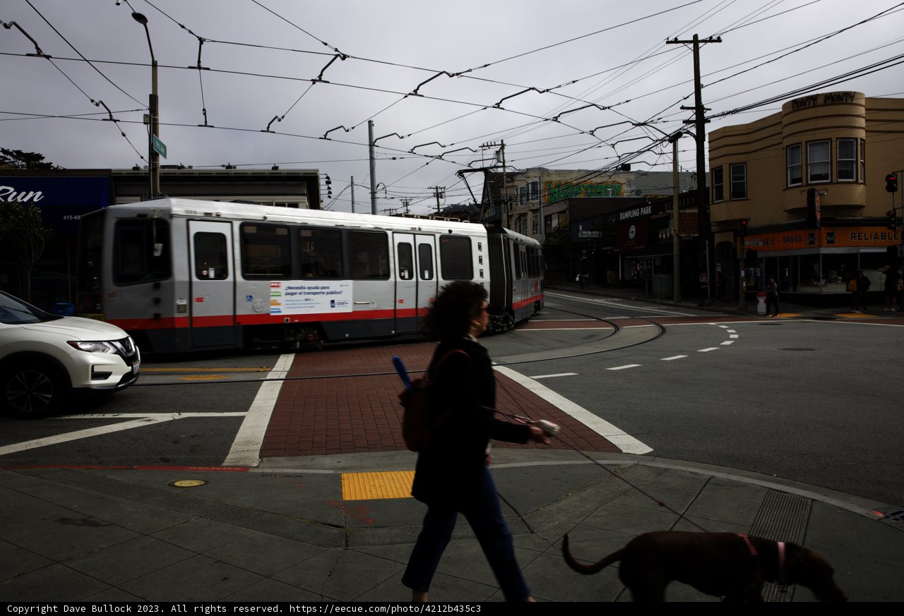 A Stroll Through San Francisco's Urban Jungle