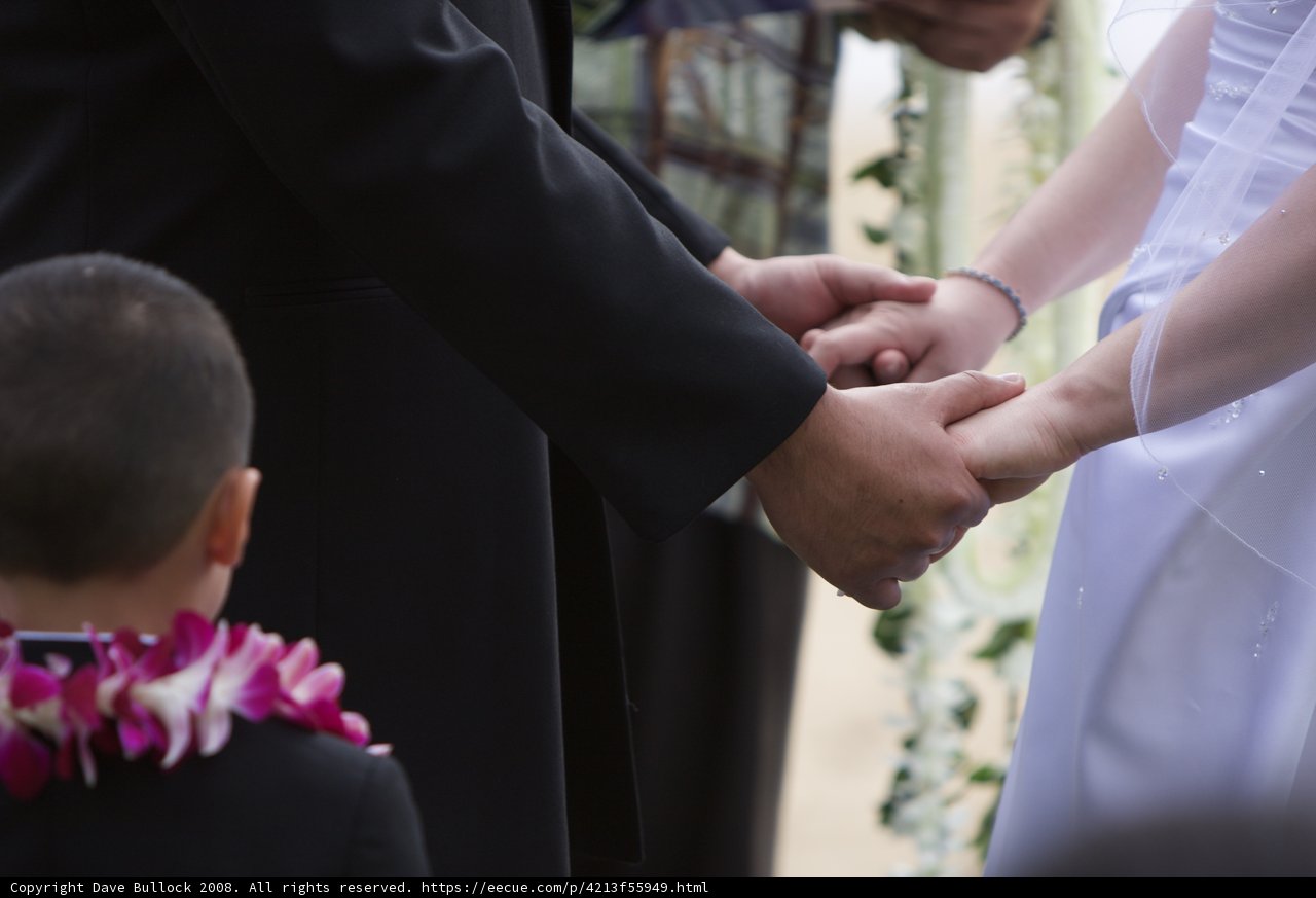 Hawaiian Wedding Bliss