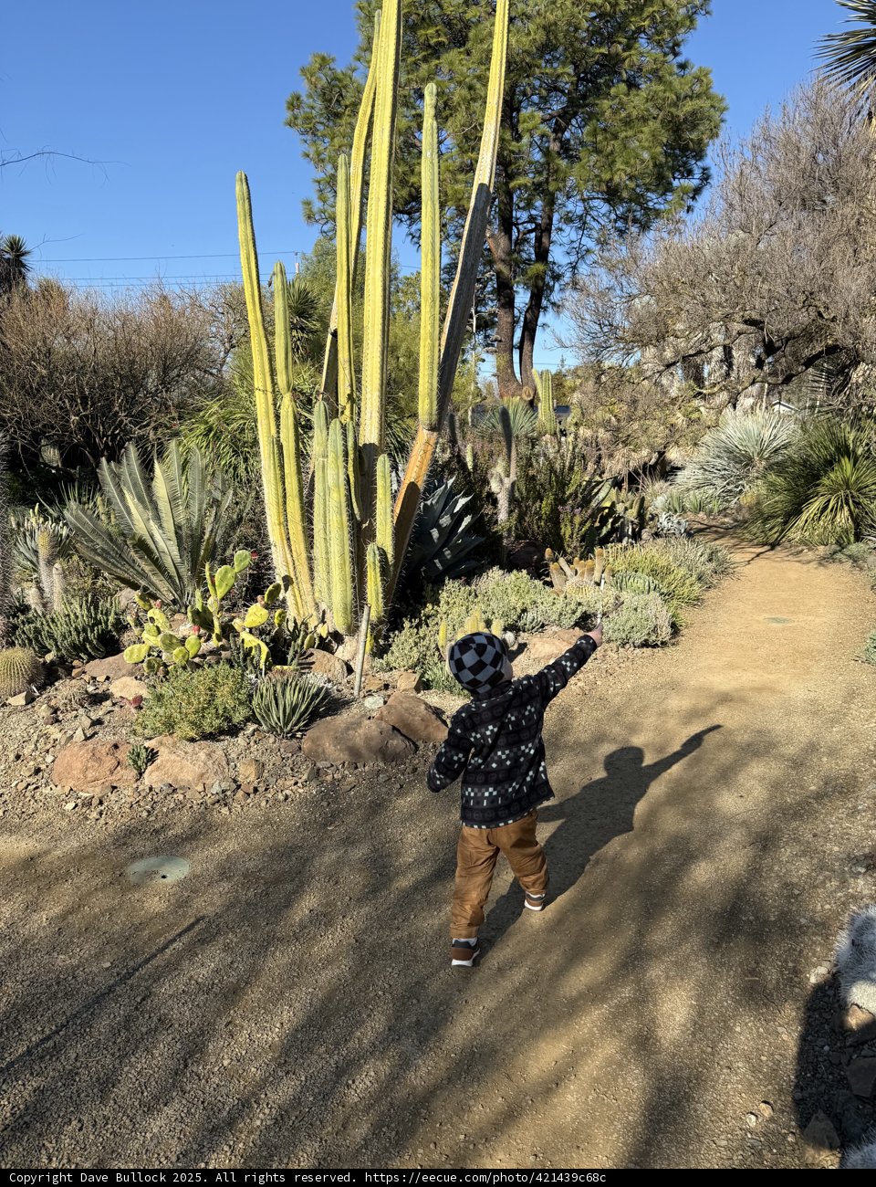 Exploration in the Garden