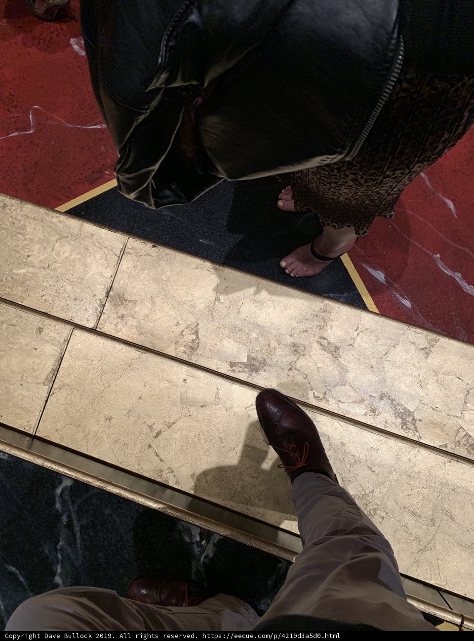Elevated Style