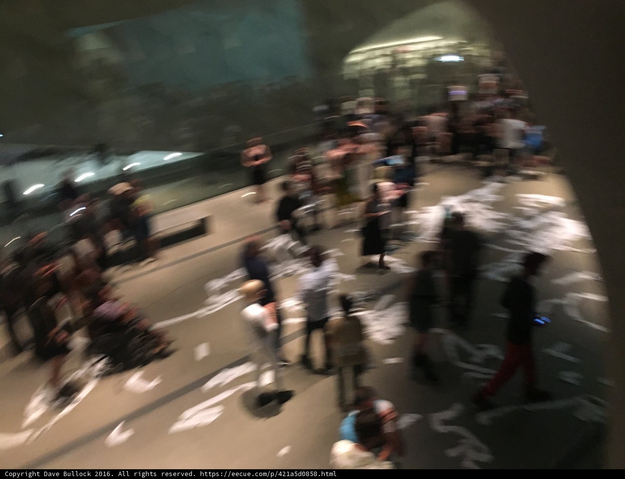 A Museum Gathering