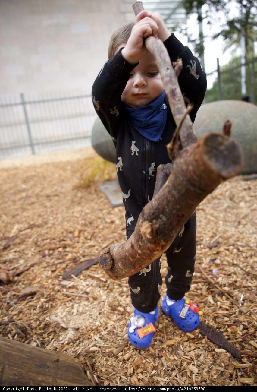 Adventures in Golden Gate Park: A Boy's Exploration