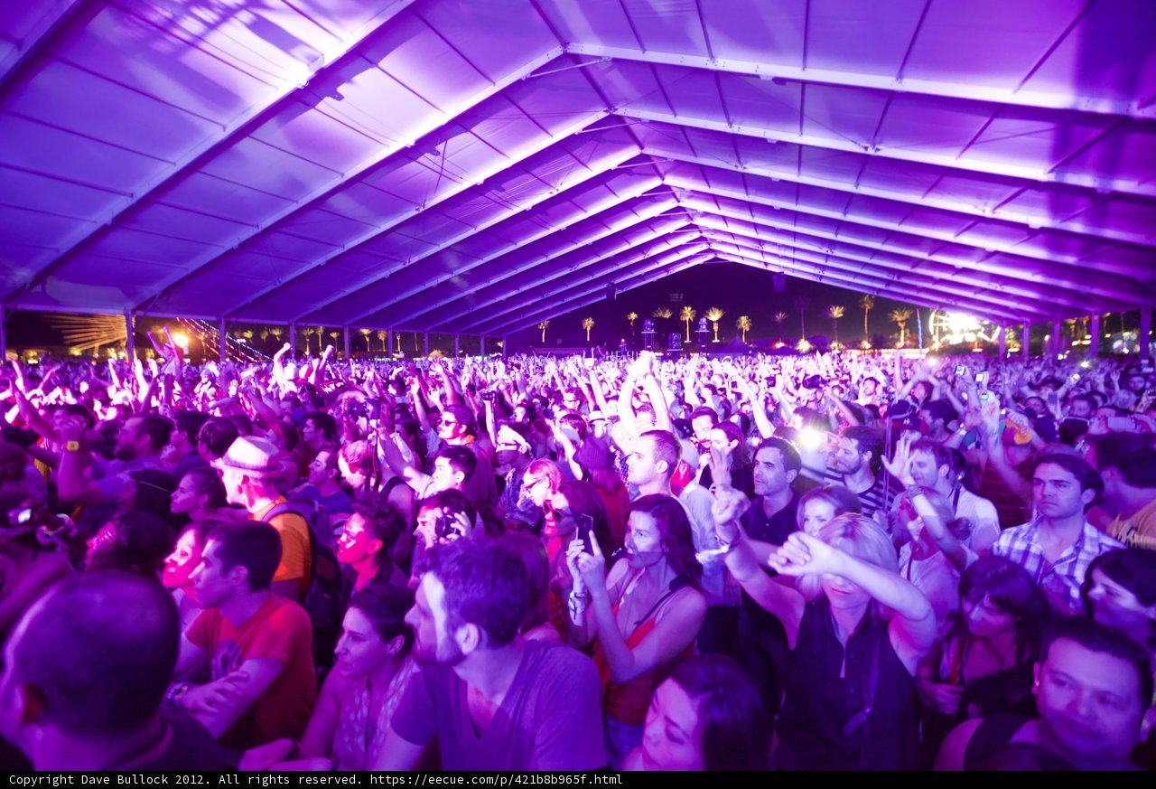 Purple Lights and Party Vibes