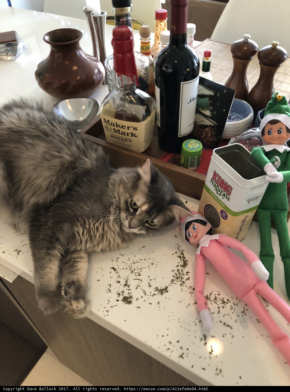 Cat and Elf at Disneyland Resort