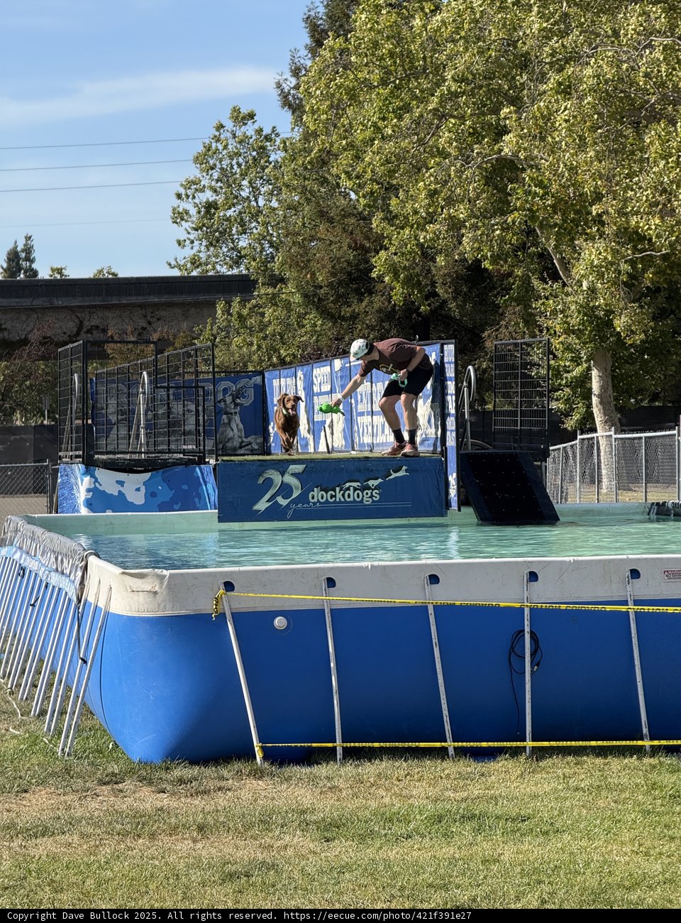 Splash of Excitement