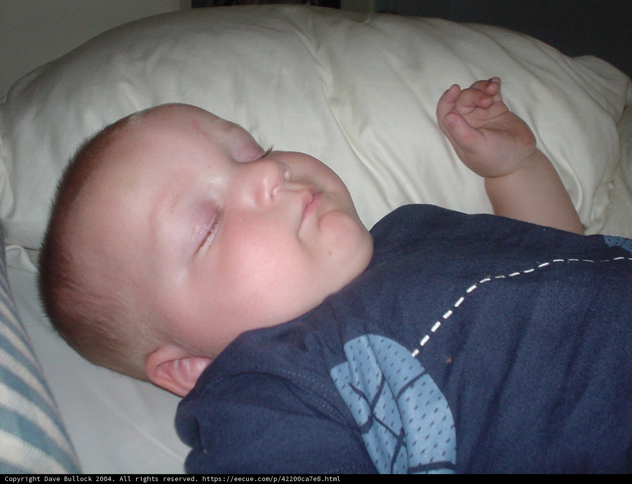 Sweet Dreams
