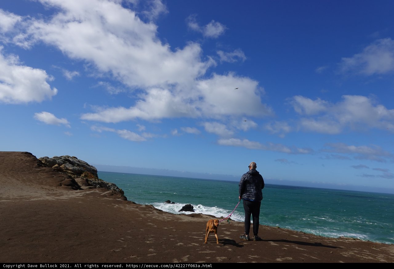 Serene View from the Promontory