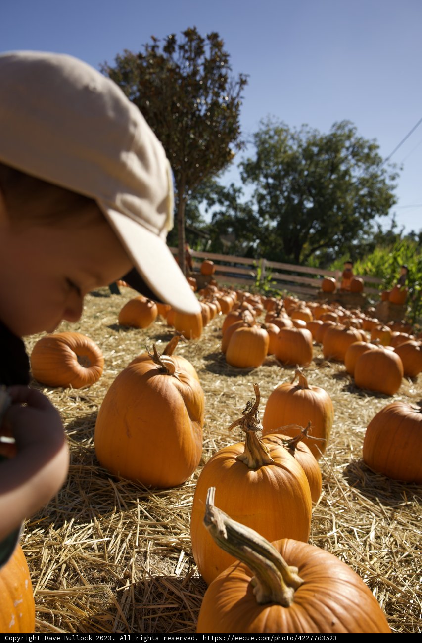 Harvest Season Highlights with the Metzgars