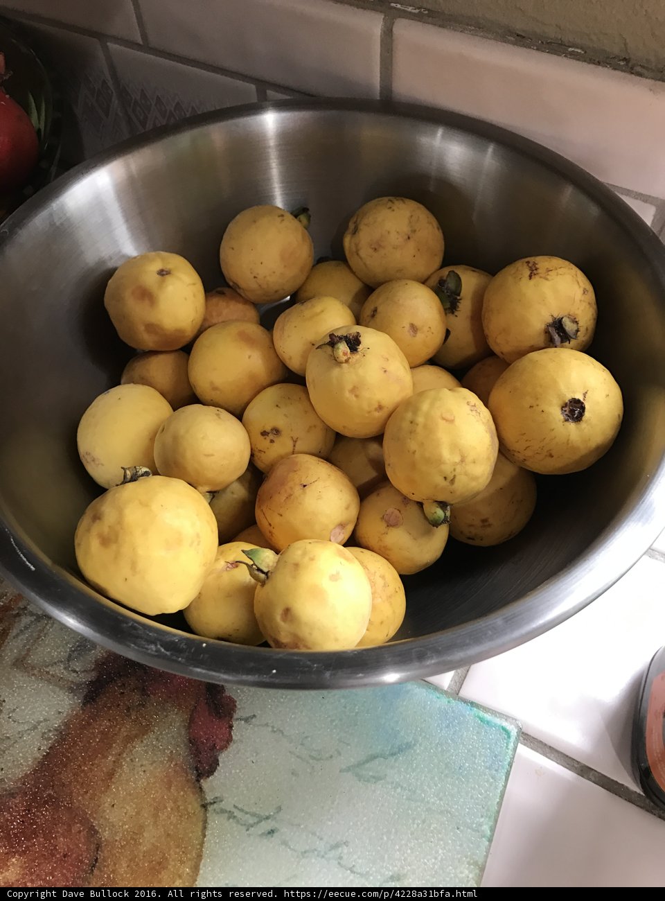 Vibrant Quince and Pears