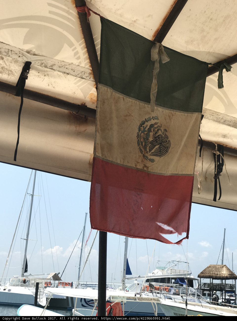 Proudly Waving Mexican Flag