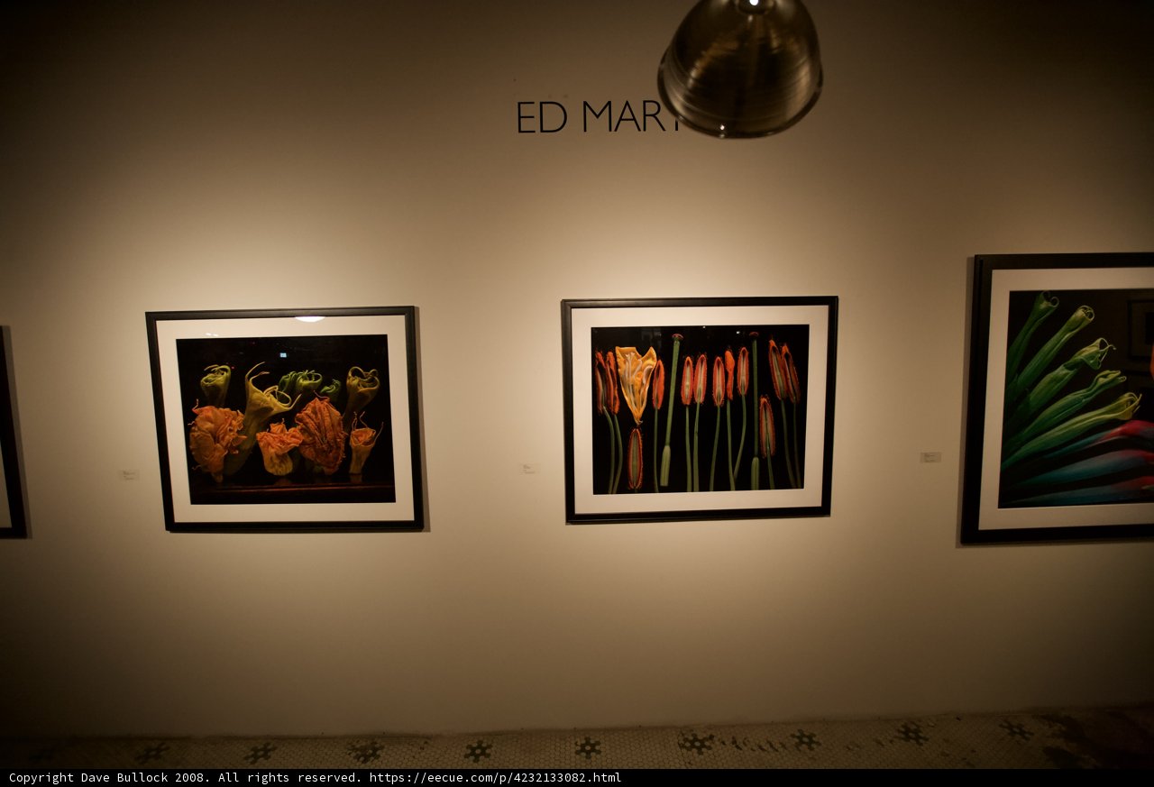 Ed Man's Captivating Art Exhibition at MoMA Gallery