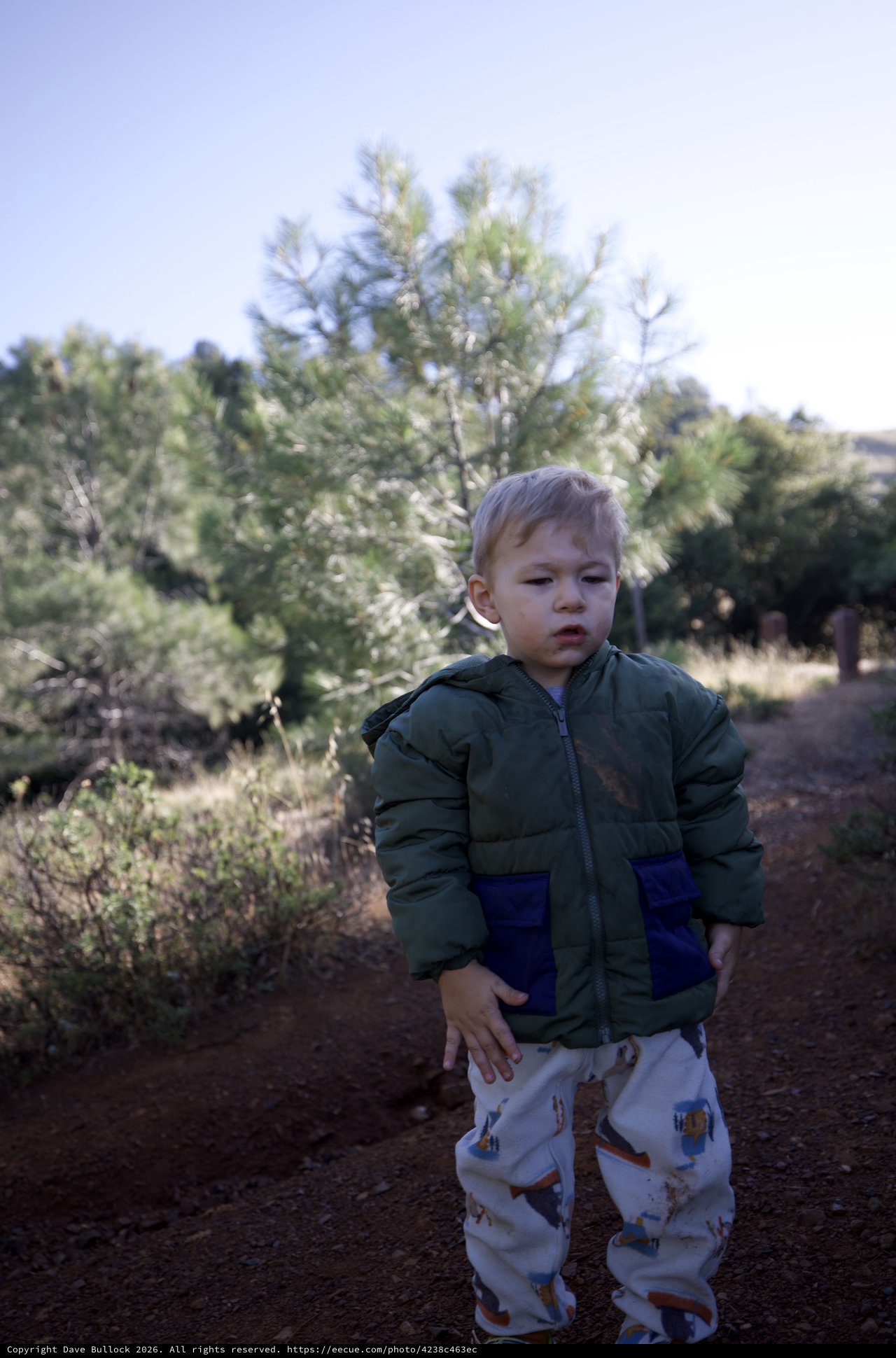 Young Explorer on a Sunlit Mountain Trail