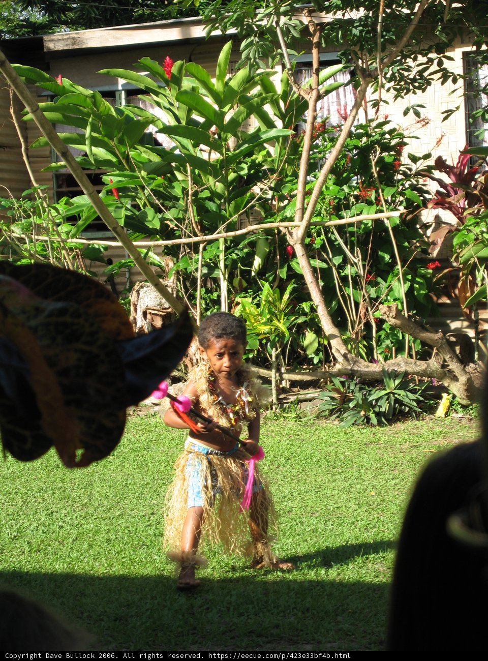 Island Playtime