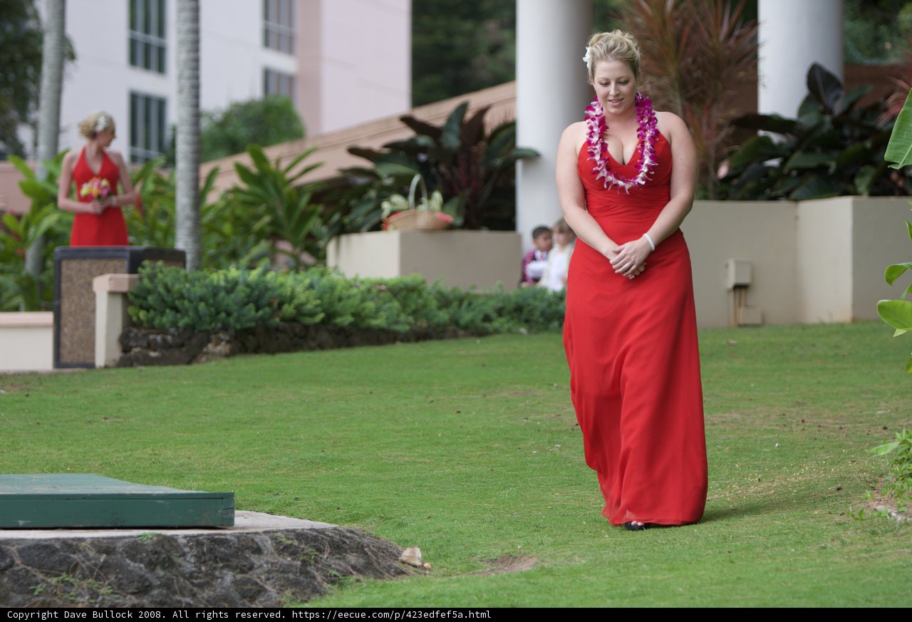 Evening Stroll on the Lawn