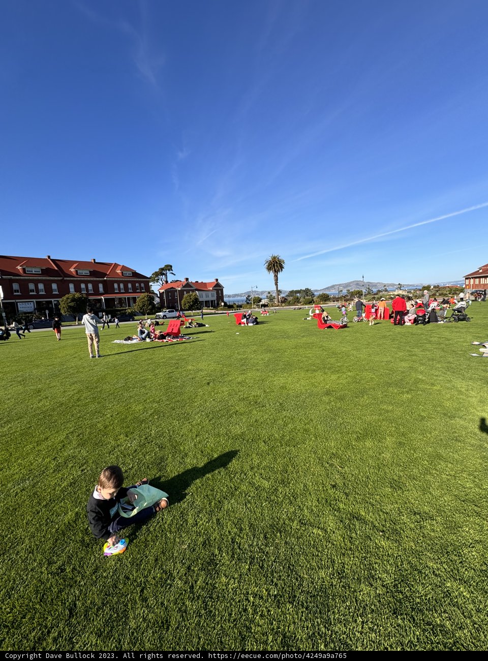 Summer Serenity Amidst Urban Greenery