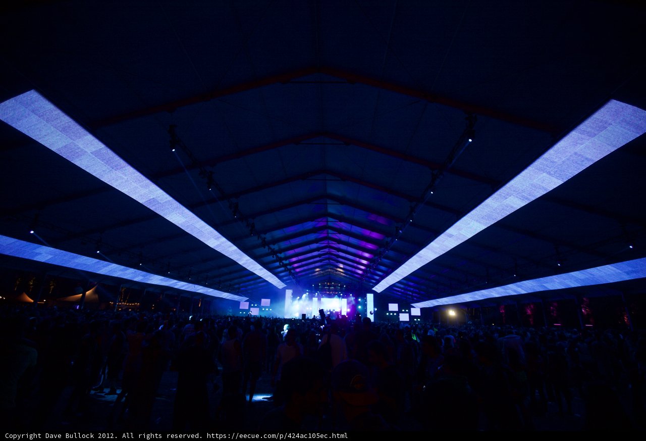 Electric Crowd at Coachella