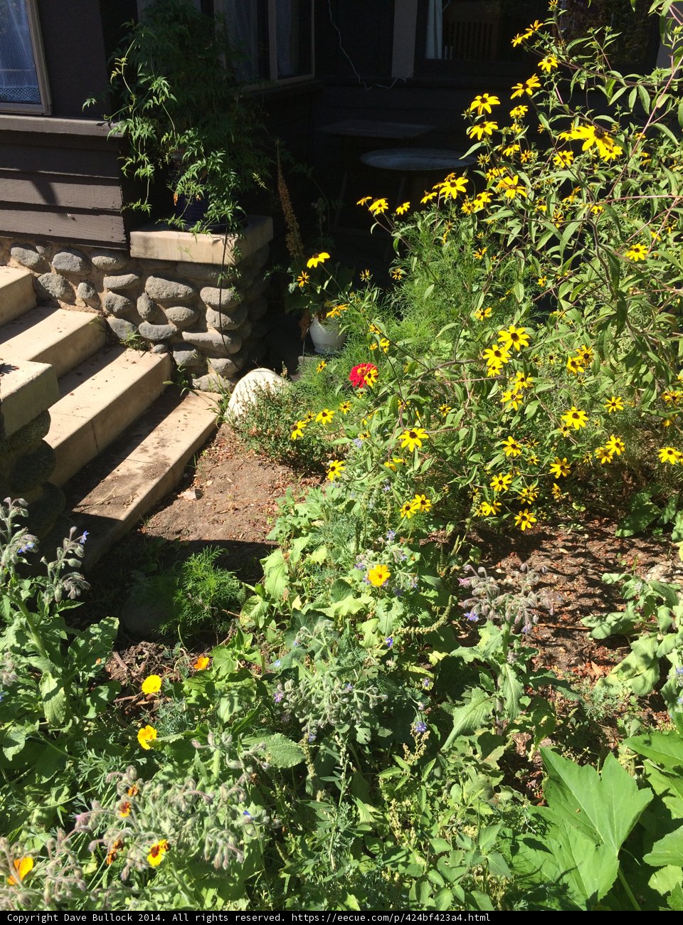 A Garden Oasis