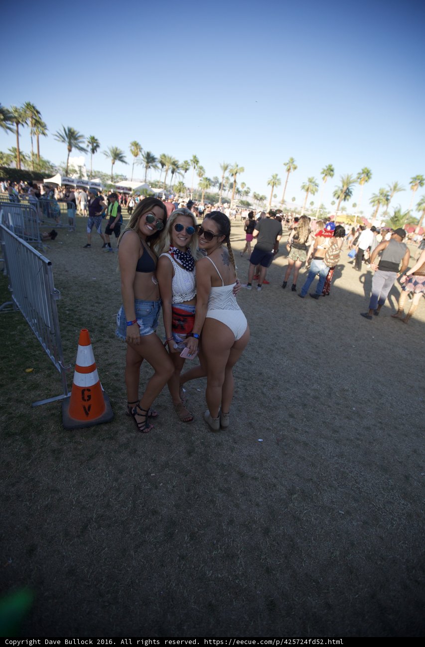 Bikini Babes at Coachella