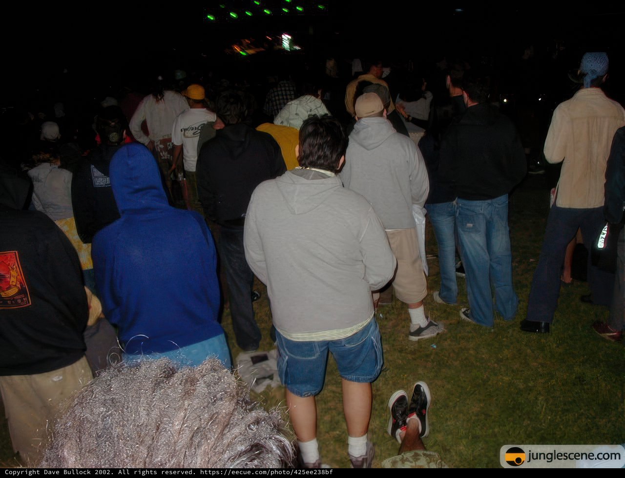 Night Gathering in the Field