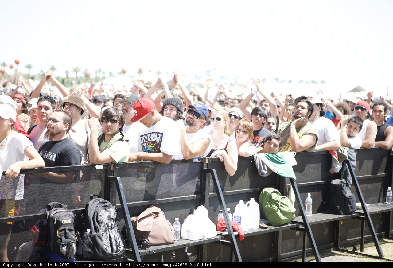 Coachella Crowd Goes Wild