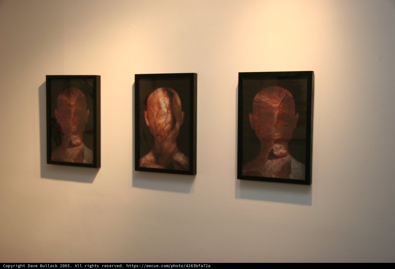 Art Gallery Display