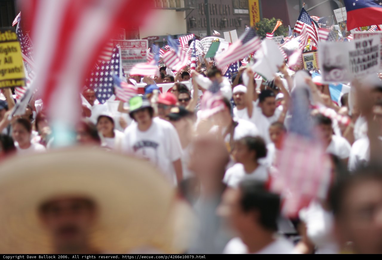 Patriotic Protest Parade