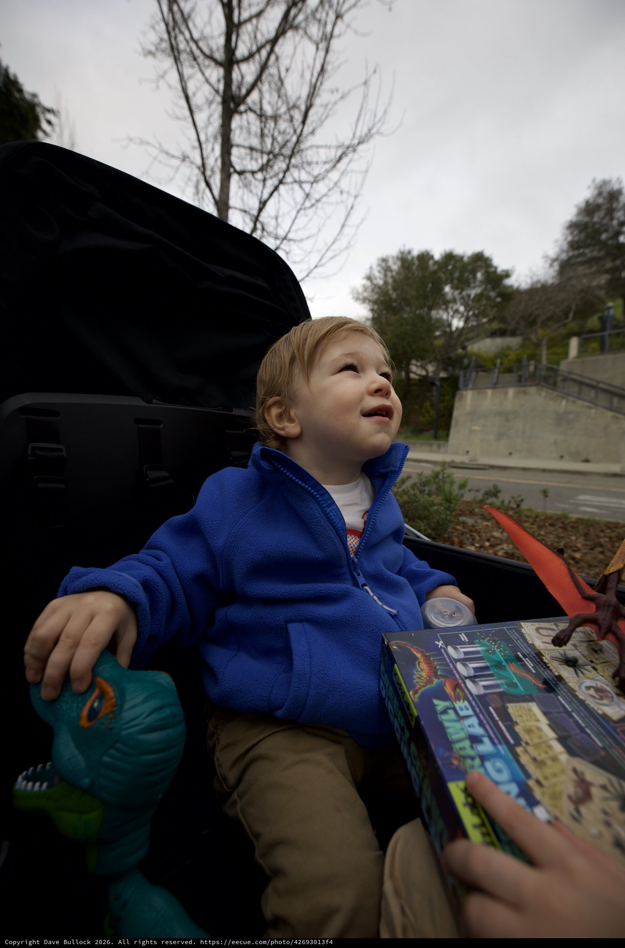 Young Boy Gazing Upward on Overcast Day
