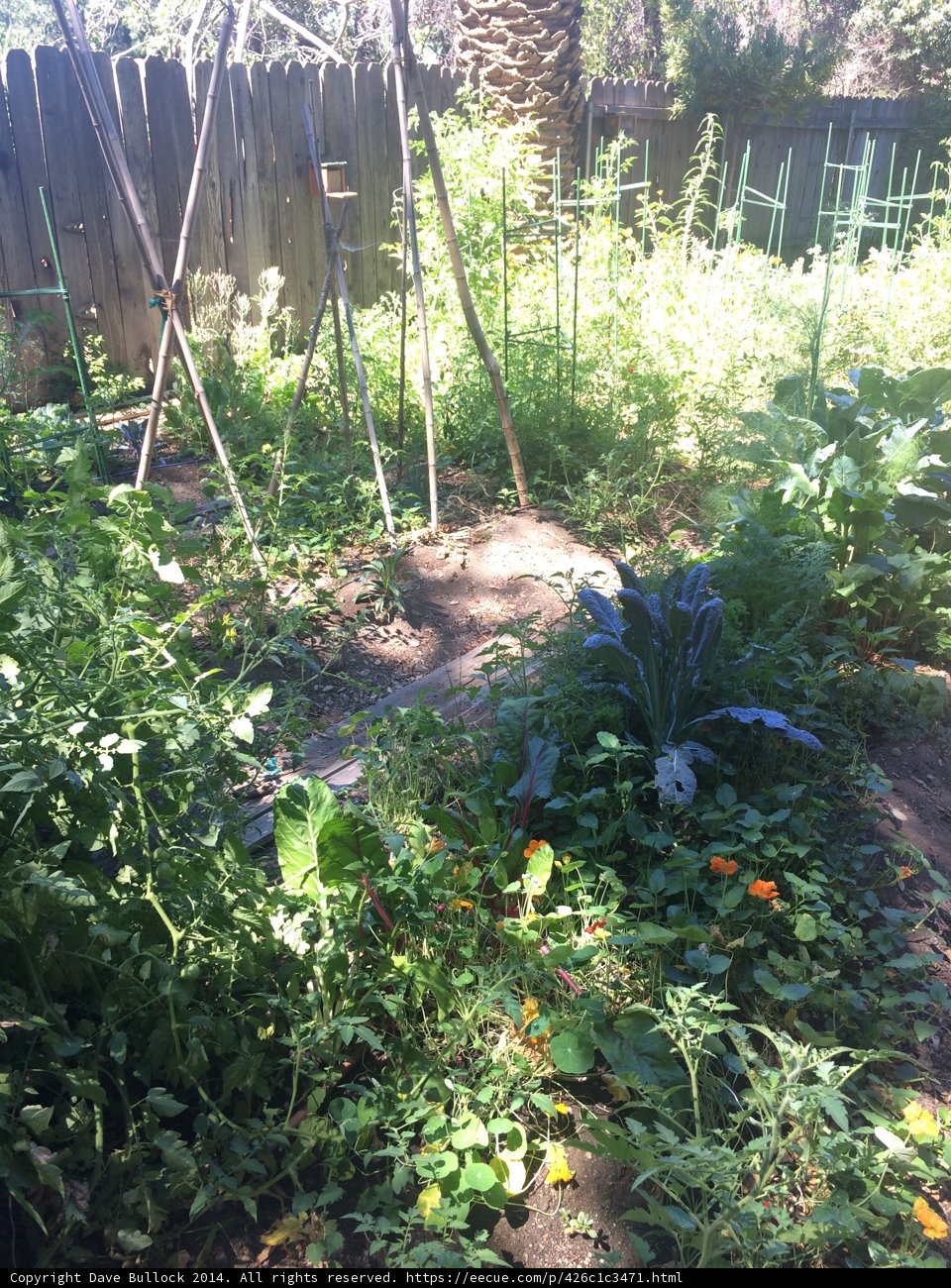 Serene Garden Oasis in Altadena