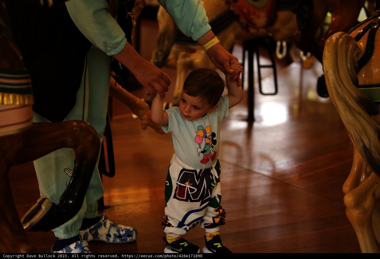 Joyful Stroll at the SF Zoo Carousel, 2023