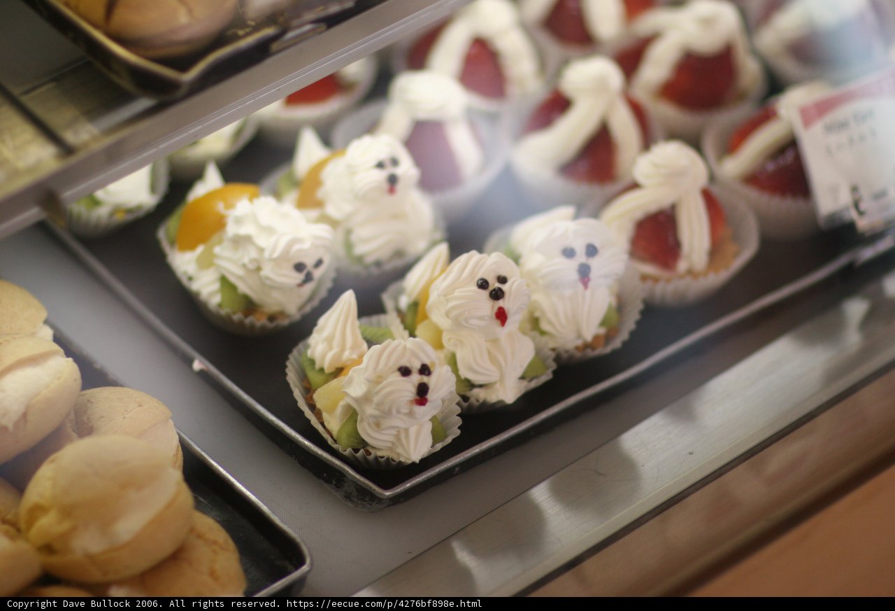 Sweet Treats Galore