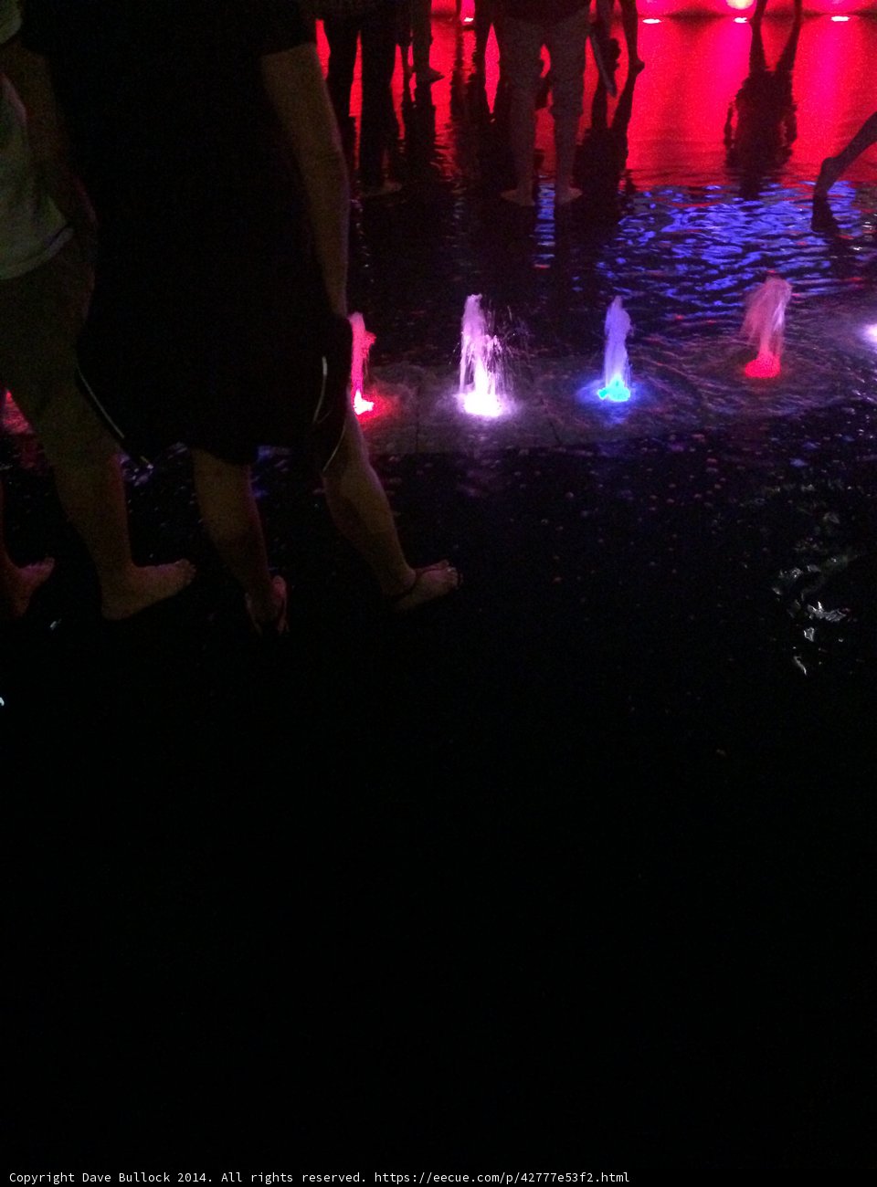 Nighttime Gathering